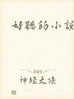 好听的小说名字封面