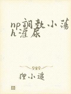 np调教小荡货h灌尿封面