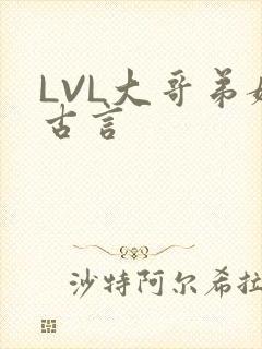 LVL大哥弟媳古言