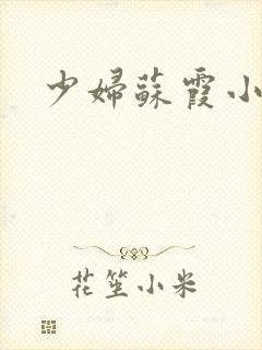 少妇苏霞小说