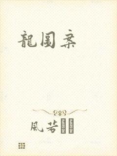 龙图案