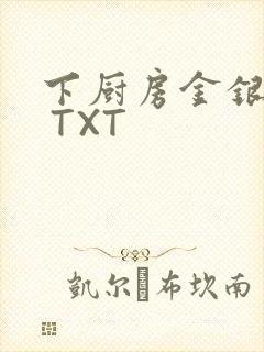 下厨房金银花露 TXT封面