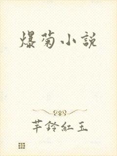爆菊小说