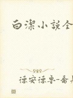 白洁小说全文