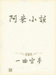 阿衰小说