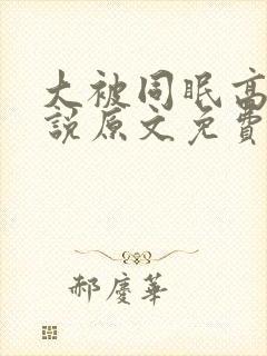 大被同眠高粱小说原文免费阅读封面