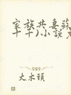 家族共妻苏苏(十千)小说免费
