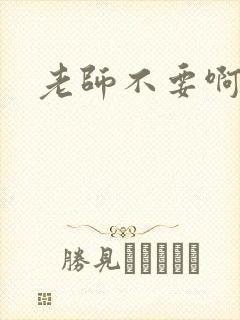 老师不要啊h封面