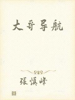 大哥导航