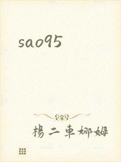 sao95封面