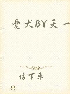 爱犬BY天一