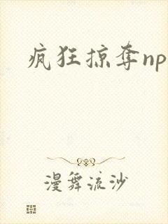 疯狂掠夺npc