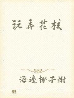 玩弄花核封面