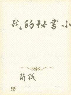我的秘书小姐封面