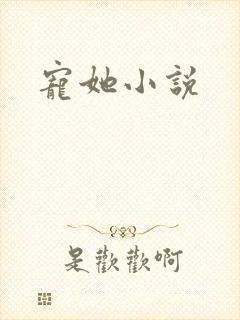 宠她小说封面