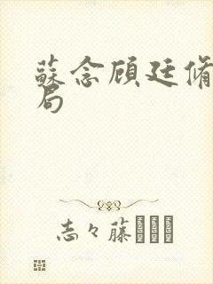 苏念顾廷修大结局封面