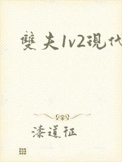 双夫1v2现代封面
