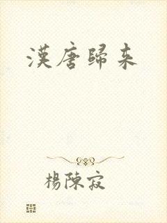 汉唐归来