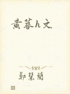 黄蓉h文封面