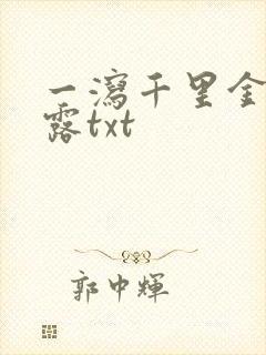 一泻千里金银花露txt