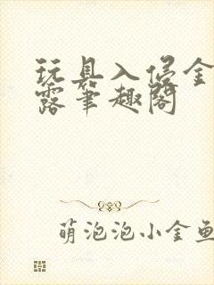 玩具入侵金银花露笔趣阁