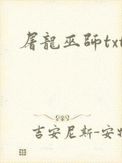 屠龙巫师txt