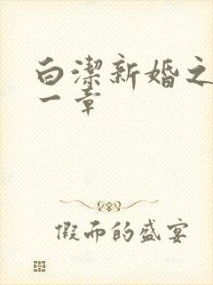 白洁新婚之夜第一章