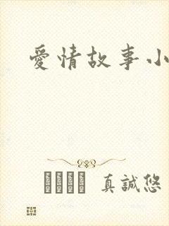 爱情故事小说封面