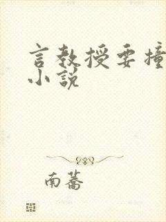 言教授要撞坏了小说