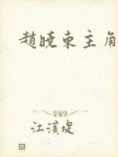 赵晓东主角小说