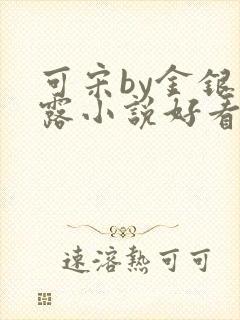 可宋by金银花露小说好看吗
