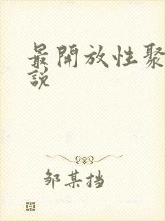 最开放性聚会小说