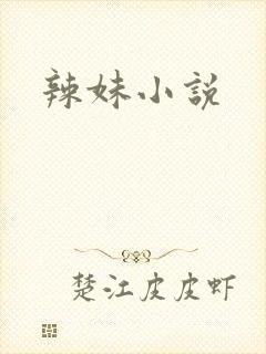 辣妹小说