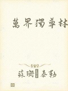 万界独尊林枫封面