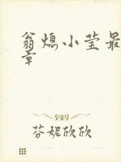 翁熄小莹最新节章