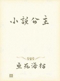 小说公主