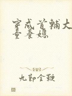 穿成首辅大人的童养媳