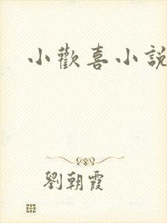 小欢喜小说