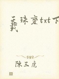 天珠变txt下载封面