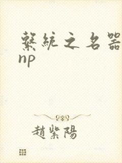系统之名器攻略np