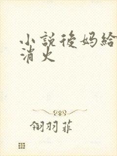 小说后妈给我消消火