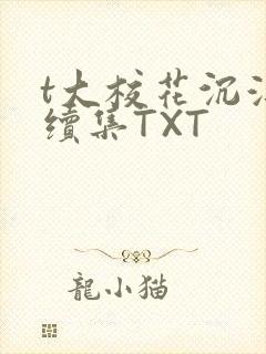 t大校花沉浮录续集TXT