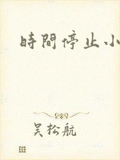 时间停止小说