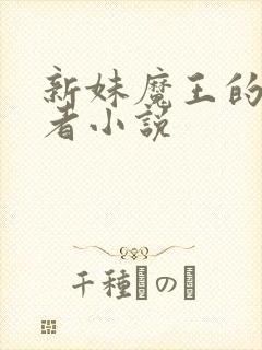 新妹魔王的契约者小说