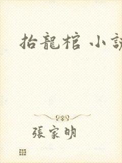 抬龙棺 小说