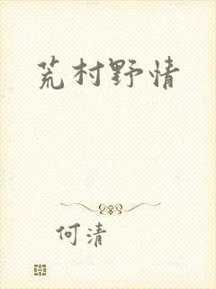 荒村野情封面