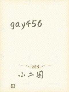 gay456封面