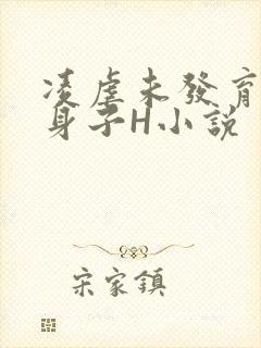 凌虐未发育的小身子H小说