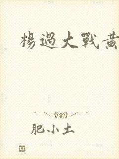 杨过大战黄蓉