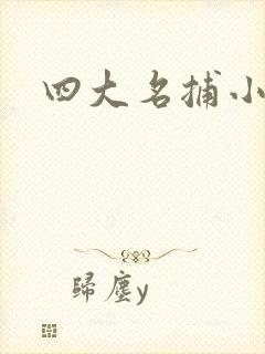 四大名捕小说